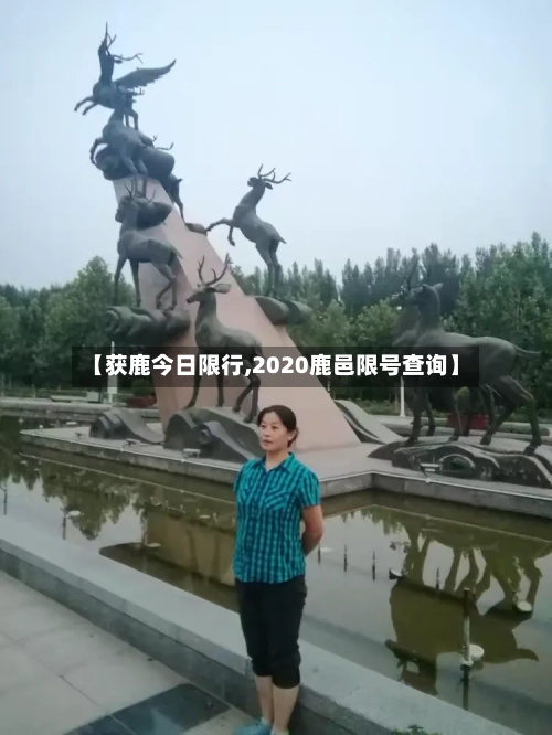 【获鹿今日限行,2020鹿邑限号查询】-第3张图片