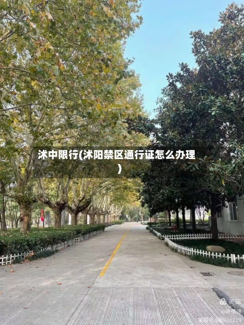 沭中限行(沭阳禁区通行证怎么办理)-第2张图片