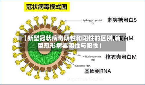 【新型冠状病毒阴性和阳性的区别,新型冠形病毒阴性与阳性】