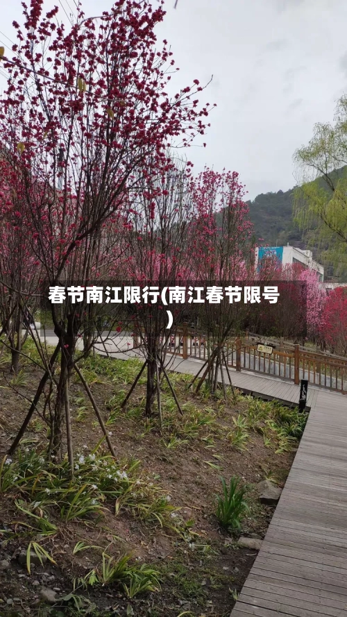 春节南江限行(南江春节限号)
