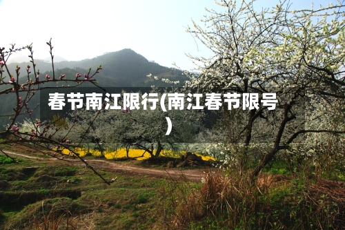 春节南江限行(南江春节限号)-第3张图片