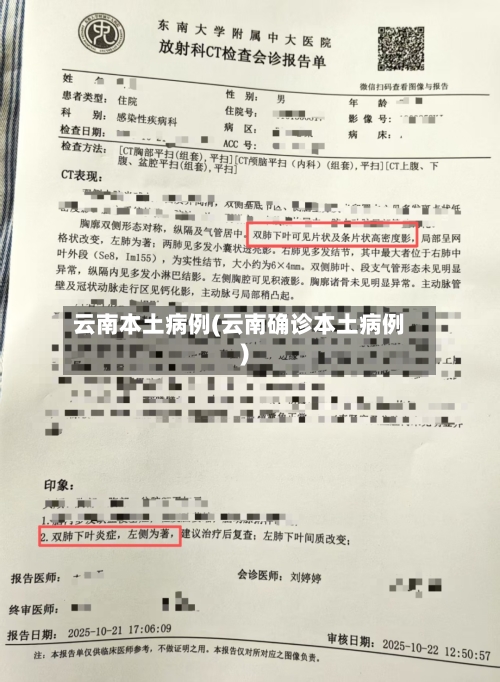 云南本土病例(云南确诊本土病例)-第2张图片