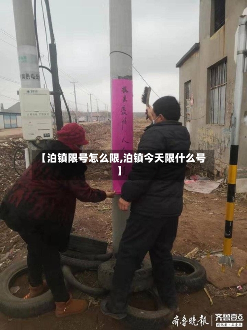 【泊镇限号怎么限,泊镇今天限什么号】