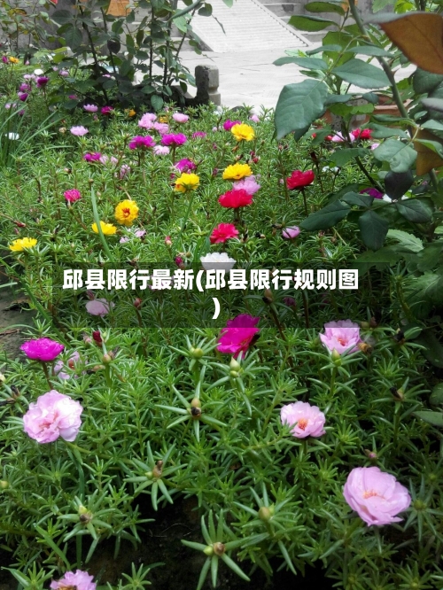 邱县限行最新(邱县限行规则图)-第2张图片