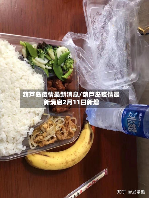 葫芦岛疫情最新消息/葫芦岛疫情最新消息2月11日新增