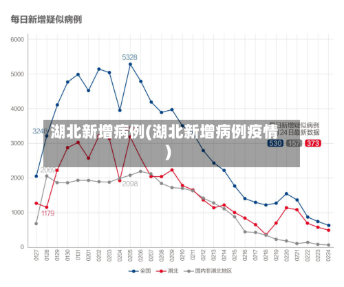 湖北新增病例(湖北新增病例疫情)-第2张图片