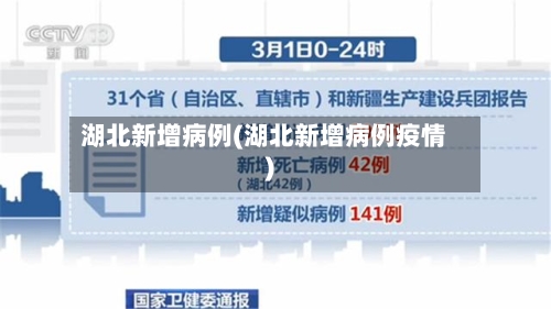 湖北新增病例(湖北新增病例疫情)-第3张图片