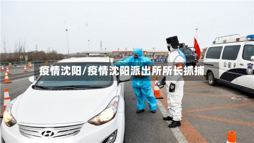 疫情沈阳/疫情沈阳派出所所长抓捕