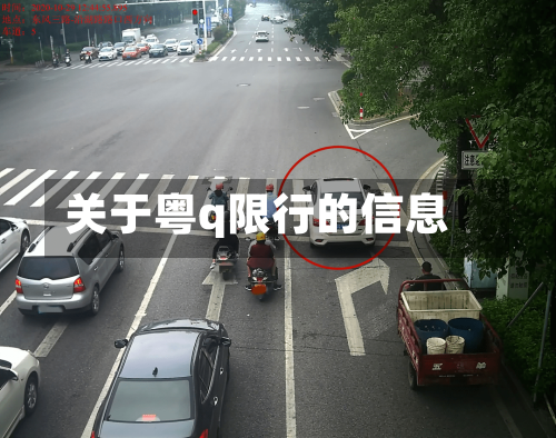 关于粤q限行的信息