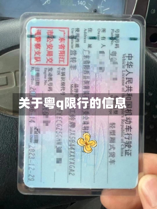关于粤q限行的信息-第2张图片