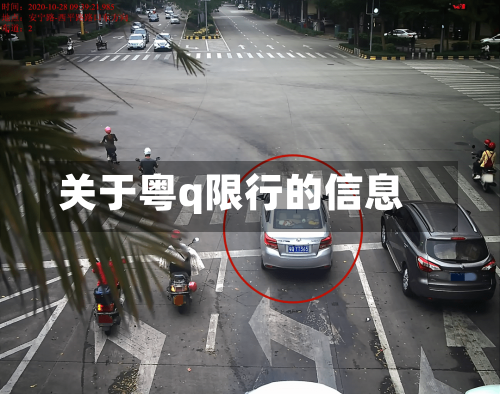 关于粤q限行的信息-第3张图片