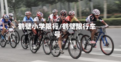 鹤壁小学限行/鹤壁限行车号-第2张图片