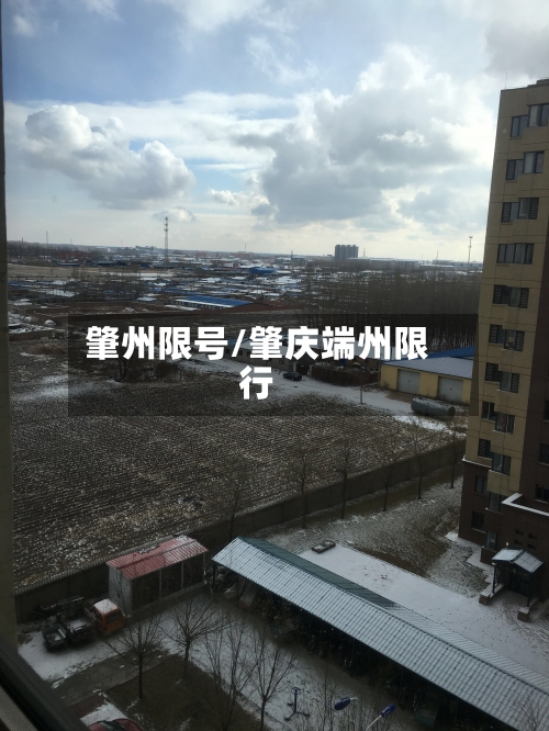 肇州限号/肇庆端州限行-第2张图片