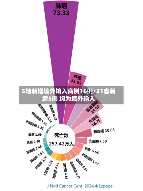 5地新增境外输入病例16例/31省新增5例 均为境外输入