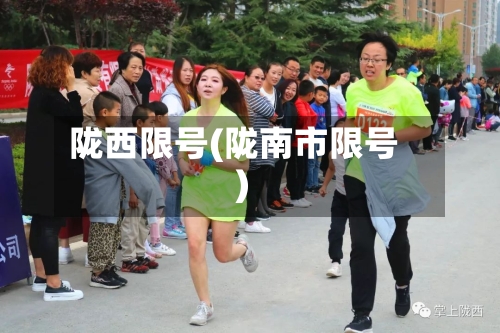 陇西限号(陇南市限号)