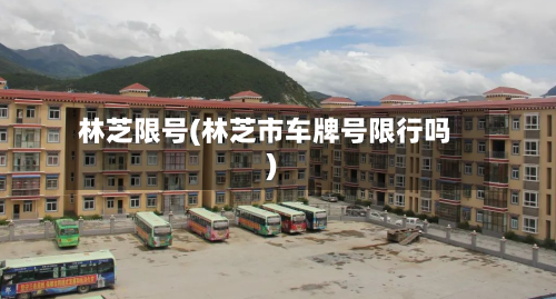 林芝限号(林芝市车牌号限行吗)-第2张图片