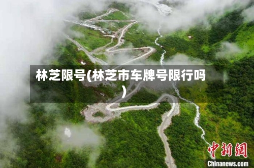 林芝限号(林芝市车牌号限行吗)