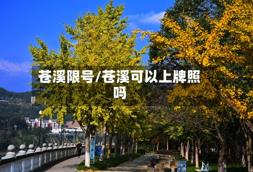 苍溪限号/苍溪可以上牌照吗