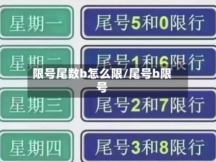 限号尾数b怎么限/尾号b限号-第2张图片