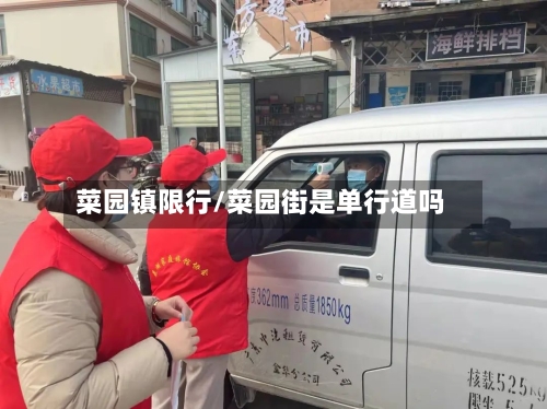 菜园镇限行/菜园街是单行道吗