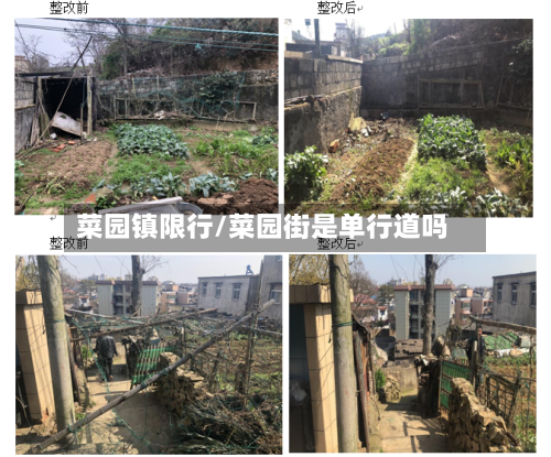 菜园镇限行/菜园街是单行道吗-第3张图片