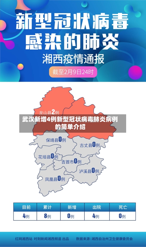 武汉新增4例新型冠状病毒肺炎病例的简单介绍-第2张图片