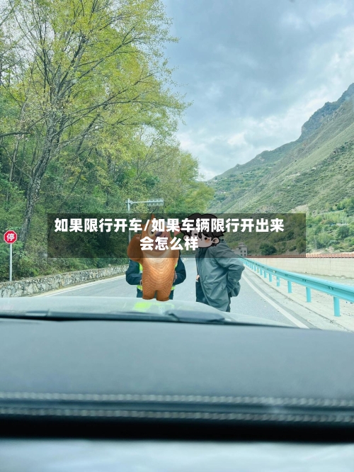 如果限行开车/如果车辆限行开出来会怎么样-第2张图片