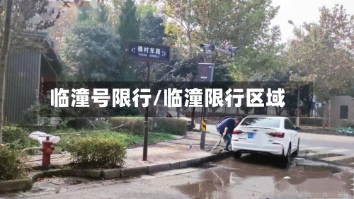 临潼号限行/临潼限行区域