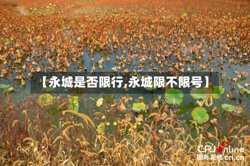 【永城是否限行,永城限不限号】