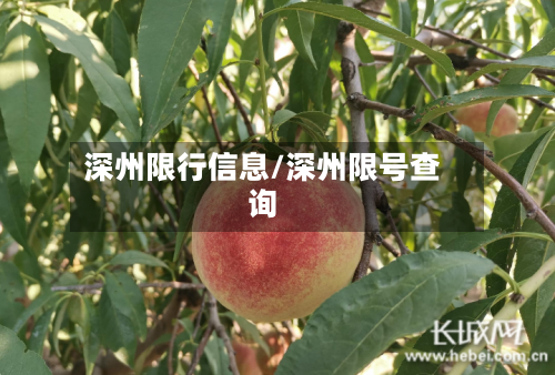 深州限行信息/深州限号查询-第2张图片