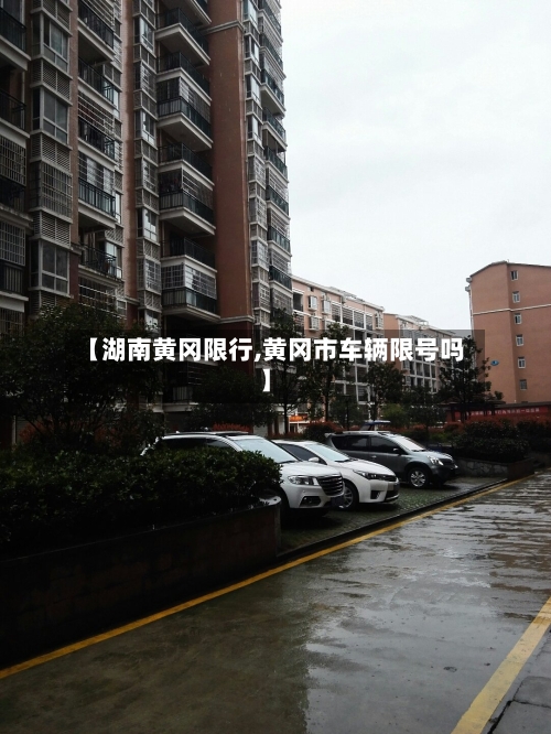 【湖南黄冈限行,黄冈市车辆限号吗】-第2张图片
