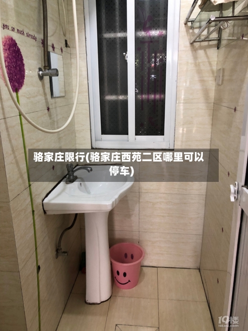 骆家庄限行(骆家庄西苑二区哪里可以停车)-第2张图片