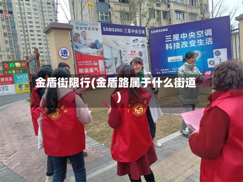 金盾街限行(金盾路属于什么街道)