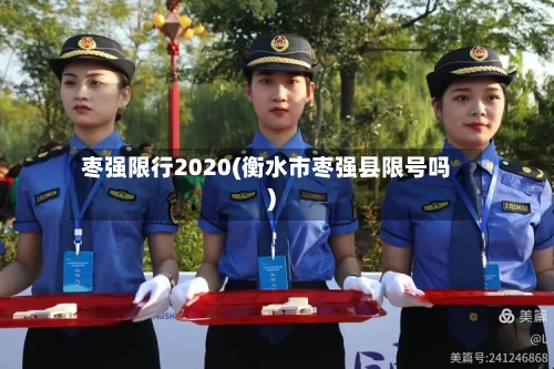 枣强限行2020(衡水市枣强县限号吗)