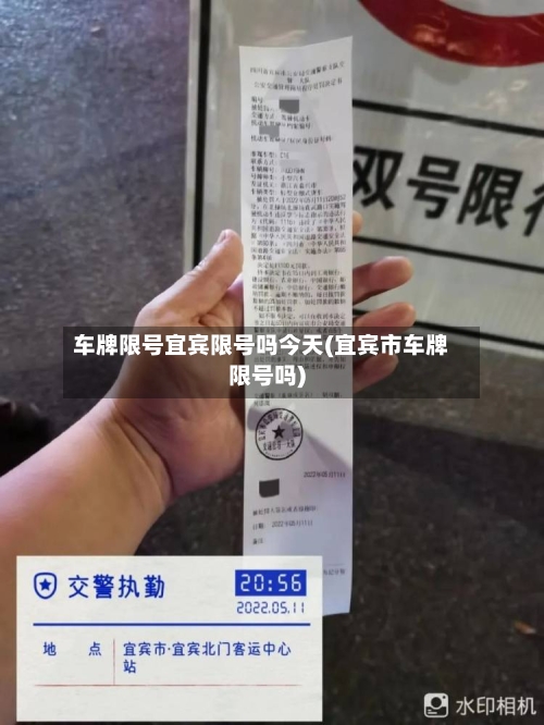 车牌限号宜宾限号吗今天(宜宾市车牌限号吗)-第2张图片