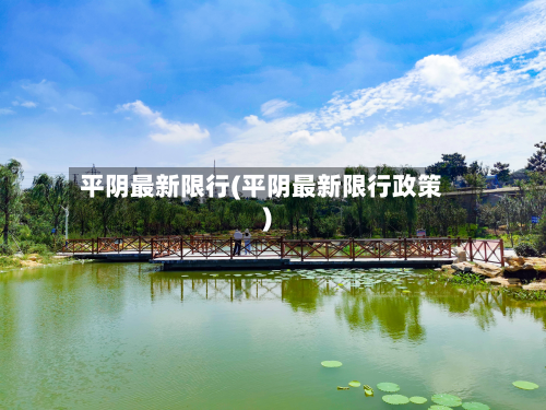 平阴最新限行(平阴最新限行政策)