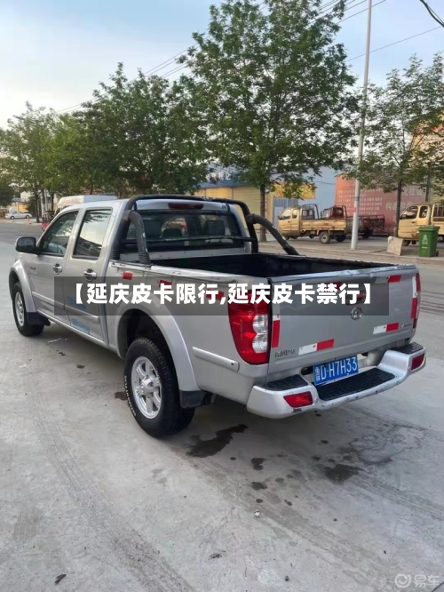 【延庆皮卡限行,延庆皮卡禁行】-第2张图片