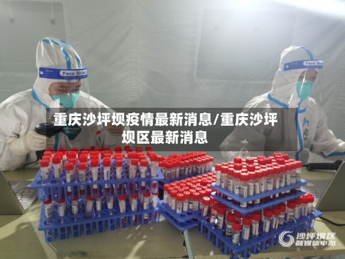 重庆沙坪坝疫情最新消息/重庆沙坪坝区最新消息