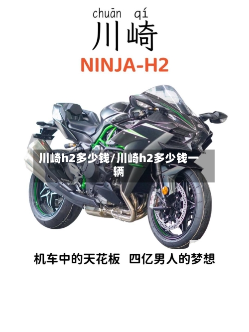 川崎h2多少钱/川崎h2多少钱一辆-第2张图片