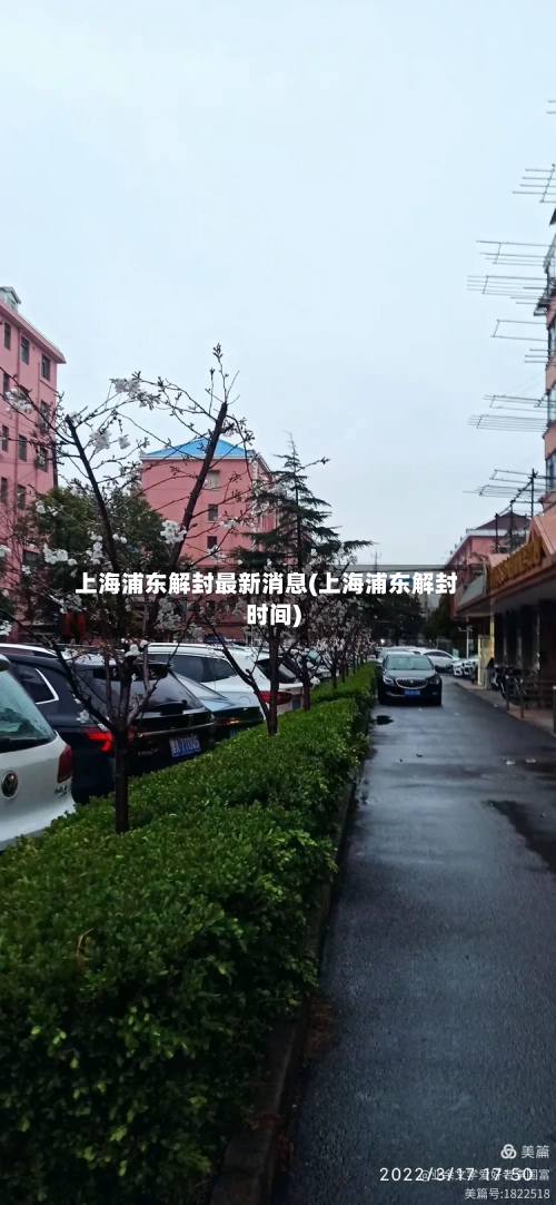 上海浦东解封最新消息(上海浦东解封时间)
