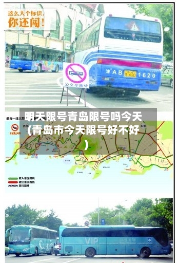 明天限号青岛限号吗今天(青岛市今天限号好不好)