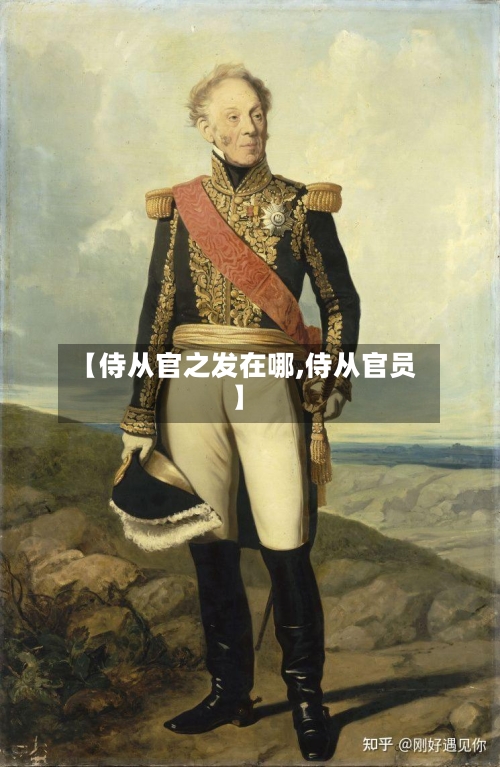 【侍从官之发在哪,侍从官员】