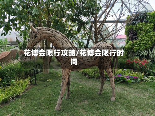 花博会限行攻略/花博会限行时间-第2张图片