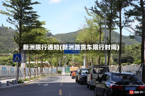 新洲限行通知(新洲路货车限行时间)