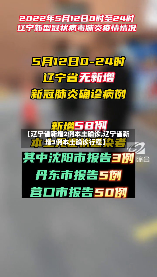 【辽宁省新增2例本土确诊,辽宁省新增3例本土确诊行程】-第2张图片