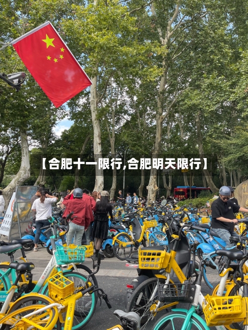 【合肥十一限行,合肥明天限行】