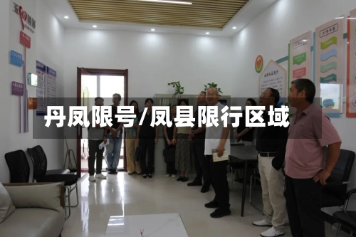 丹凤限号/凤县限行区域-第2张图片