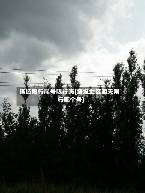 塔城限行尾号限行吗(塔城地区明天限行哪个号)-第3张图片