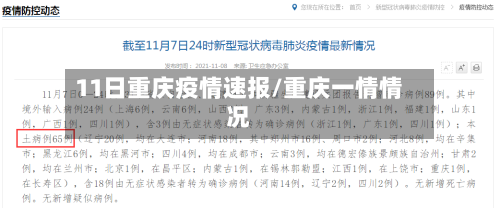 11日重庆疫情速报/重庆一情情况-第2张图片