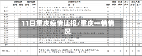 11日重庆疫情速报/重庆一情情况-第3张图片